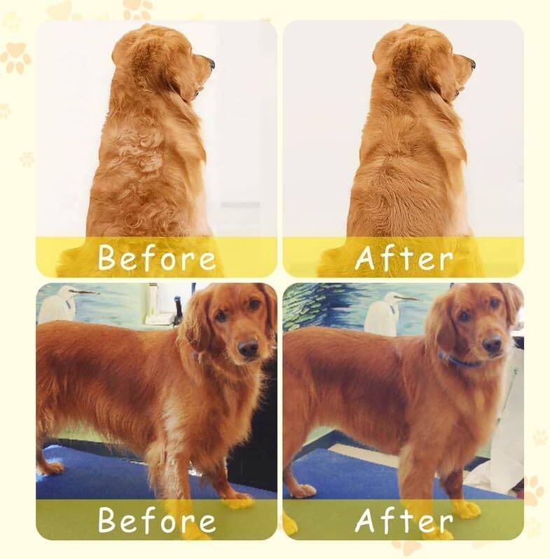 Kyrotech 3'ü 1 Arada Buharlı Silikon Şarjlı Kedi Köpek Fırçası Çok İşlevli Tüy Fırçası Masaj için Kendi Kendini Temizleyen Buharlı Fırça, Dolaşık ve Gevşek Tüyleri Temizlemek için Buharlı Evcil Hayvan Fırçası - 5