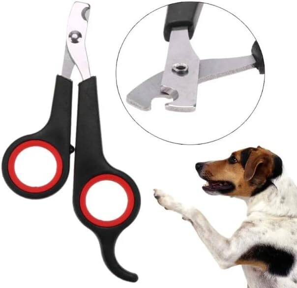 Kyrotech Kedi Köpek Tırnak Makası – Renkli Paslanmaz Çelik Tırnak Kesici – Evcil Hayvanlar İçin Güvenli ve Ergonomik Tırnak Makası – Kedi, Küçük Köpek ve Tavşanlar İçin Uygun Asorti Çok Renkli - 6